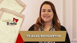 Explica Direito Filiação Socioafetiva  2019 [upl. by Eceinart101]