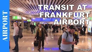 TRANSIT WALK AT FRANKFURT Airport FRA Terminal 1  Connection Flight Transfer Arriving amp Departing [upl. by Dibbrun]